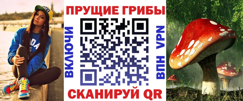 Купить закладки  Краснокаменск  Псилоцибиновые грибы мицелий 